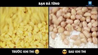 Sự khác biệt giữa TRƯỚC KHI THI và SAU KHI THI  Feedy TV [upl. by Alsi538]