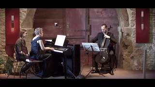 Bach Arioso BWV 156 for cello and piano [upl. by Ailekahs]