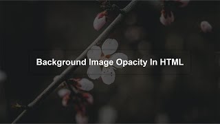 How To Set Background Image Opacity In HTML  Opacity In CSS [upl. by Hako954]