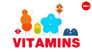 How do vitamins work  Ginnie Trinh Nguyen [upl. by Donella227]