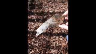 RF4C Phantom Jet Crash on Holston Mountain TN [upl. by Eleets]