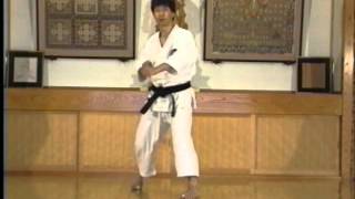 Hitoshi Kasya Basic techniquewmv [upl. by Perreault]