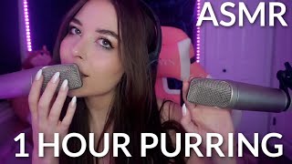 ASMR 1 Hour Of Amazing Purring To Help You Sleep 💤 [upl. by Dyche720]