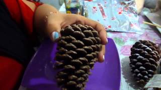 DIY ¿Como Hacer adornos navideños con piñas 2014 [upl. by Eldnik770]