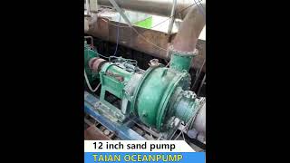 12 INCH River Sand dredge pump [upl. by Ginsburg653]