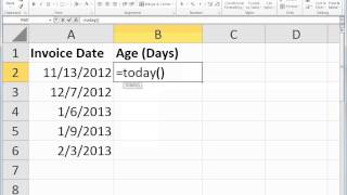 Excel  TODAY Function [upl. by Nolyarb200]