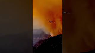 Bridge Fire in Californias Angeles National Forest grows to over 800 acres [upl. by Maiga59]