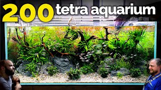 The Tetra Jungle Aquarium EPIC 4ft 200 Fish Tank Aquascape Tutorial [upl. by Sirej]