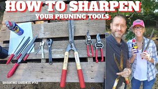 ✂ How to Sharpen Your Pruning Tools  QG Day 143 ✂ [upl. by Yemerej567]