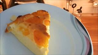 MandarinenQuarkKuchen aus der Heißluftfriteuse [upl. by Ereynihc]