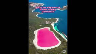 Lake Hillier of Western Australia [upl. by Corinna]