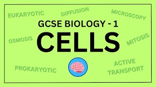 The Easiest Way to Get All 9s in GCSE Science Combined AND Triple [upl. by Hodge929]