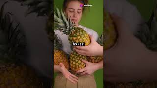 Weird Food Facts You Wont Believe trending facts mindblowingamazingfacts shorts foodfacts [upl. by Eenram87]