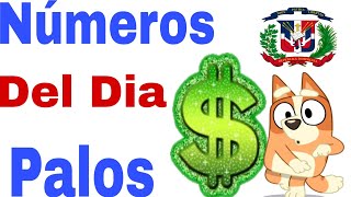 Números de hoy 13924Palos🤑🤑🤑🇩🇴🇩🇴🇺🇲🇺🇲😉😉😉💪💪💪💪 [upl. by Amik3]