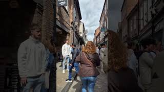 The Shambles York york theshambles yorkshambles shortswithcamilla york [upl. by Samal]