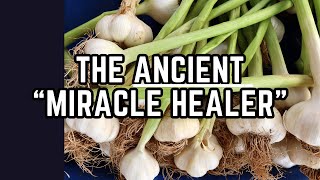 GARLIC Medicinal uses Benefits amp Precautions  more  Earths Medicine [upl. by Corsetti201]