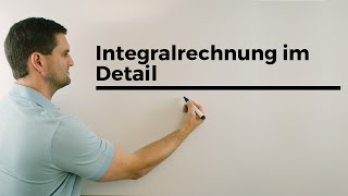 Integralrechnung im Detail Flächenberechnung Übersicht Integrale  Mathe by Daniel Jung [upl. by Mireielle]