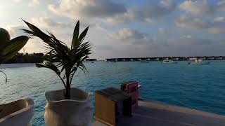 movenpick maldives [upl. by Okimat646]