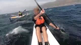 Millers Run downwind Surfski Paddle  Cape Town South Africa [upl. by Ahsiemak934]