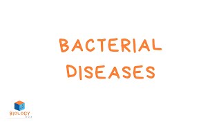 GCSE Biology  Infection amp Response  6 Bacterial Diseases [upl. by Leahey]