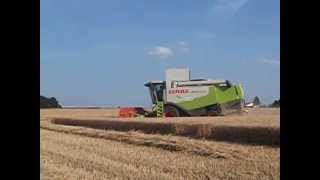 moisson de blé 2013  moissonneuse batteuse claas lexion 540 [upl. by Warram]