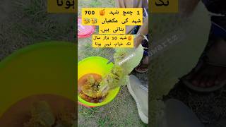 facts about honey honey honeybee honeycomb facts bee trending whatsapp viralvideo sindhi [upl. by Ellennoj]