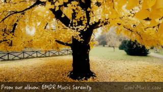 EMDR Therapy Session  Dissociation PTSD Therapy  Music For The Here And Now to Relax [upl. by Assyla]