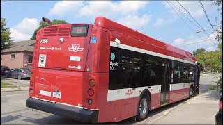 TTC 14 Glencairn Bus Ride 7256 from Glencairn Stn to Calendonia Rd July 31st 2024 [upl. by Levitus]