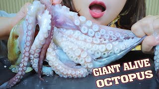 ASMR EATING ALIVE GIANT OCTOPUS WITH SPICY SAUCE EATING SOUNDS  LINHASMR 먹방 [upl. by Spalla466]