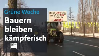 Grüne Woche in Berlin Bauern bleiben kämpferisch  BR24 [upl. by Anenahs]