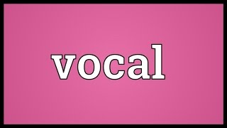 Vocal Meaning [upl. by Aowda885]