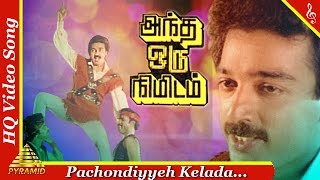 Pachondiyyeh Kelada Video Song Andha Oru Nimidam Movie Songs Kamal HaasanUrvashiPyramid Music [upl. by Levison]