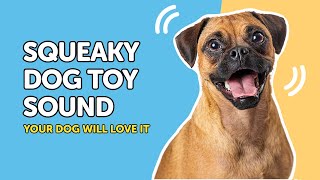 Your Dog Will Go CRAZY Over These Squeaky Sounds 🤩 [upl. by Christal]