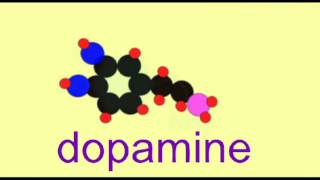 AP1 BRAIN DOPAMINE SYNTHESIS [upl. by Arezzini]