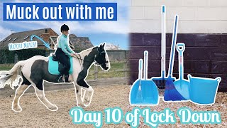 Muck Out With Me New Matchy Matchy Set amp Grooming Danny  Barn Vlog  Lock Down Day 10 [upl. by Stefania]