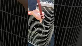 Cleaning an AC Unit to Keep It Running Efficiently shorts summer satisfying [upl. by Rufford]