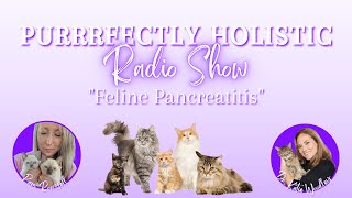 Feline Pancreatitis  The Purrrfectly Holistic Radio Show [upl. by Aylatan]