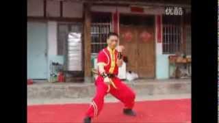 Long Zun Quan Southern Dragon Boxing Ningde prefecture Fujian [upl. by Corley]