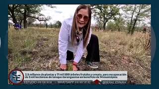 Durango ejemplo en conservación y manejo forestal a nivel nacional [upl. by Beulah]