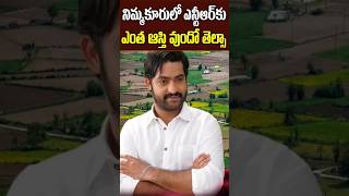 Jr NTR Lands and Net Value in Nimmakuru Village  Jr NTR Grand Fathers Home Town Tollywood Nagaram [upl. by Adnarym]