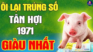 Top 4 Điềm Báo TRÚNG SỐ Cực Sốc Cuộc Đời Tuổi TÂN HỢI 1971 TIỀN RƠI THẲNG MẶT Trả Sạch Nợ Nần [upl. by Hannover]