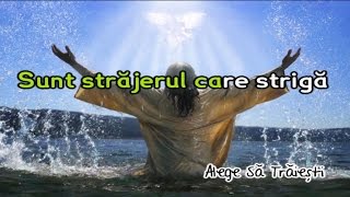 Sunt strajerul care striga  Negativ Crestin [upl. by Berardo]