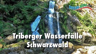 Triberger Wasserfälle  Schwarzwald  RheinEifelTV [upl. by Omiseno640]