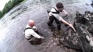 Salmon Fishing Scotland Salmon Fly Fishing on the Tay [upl. by Kapeed]