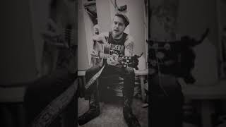 I Still Sing The Old Songs  David Allan Coe Cover [upl. by Androw319]