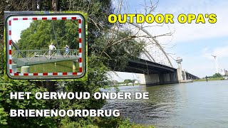 Brienenoord oerwoud onder een koepel van beton [upl. by Halland]