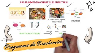 📌📣Programme des cours de BIOCHIMIE Les Glucides Lipides Acides Aminés Peptides Protéines [upl. by Martel]