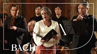 Bach  Cantata Wir danken dir BWV 29  Van Veldhoven  Netherlands Bach Society [upl. by Elke739]