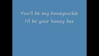 Honey BeeBlake Shelton Lyrics [upl. by Debbi]