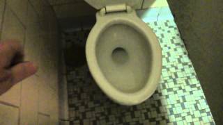 Bathroom Tour Vintage American Standard Toilet and Urinal Natural Bridge Visitor Center Virginia [upl. by Ralina343]